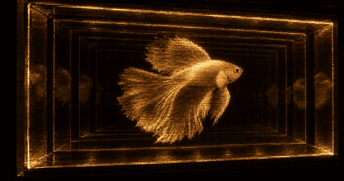 A holographic projection of a fish floating inside a rectangular two-way mirrored display box.
